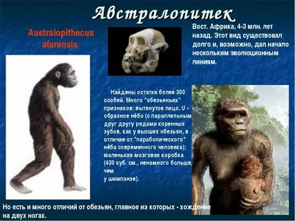 Биологические факторы австралопитеков