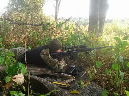 Партизаны украины последние новости