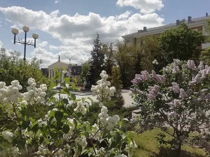 Цветущий белгород