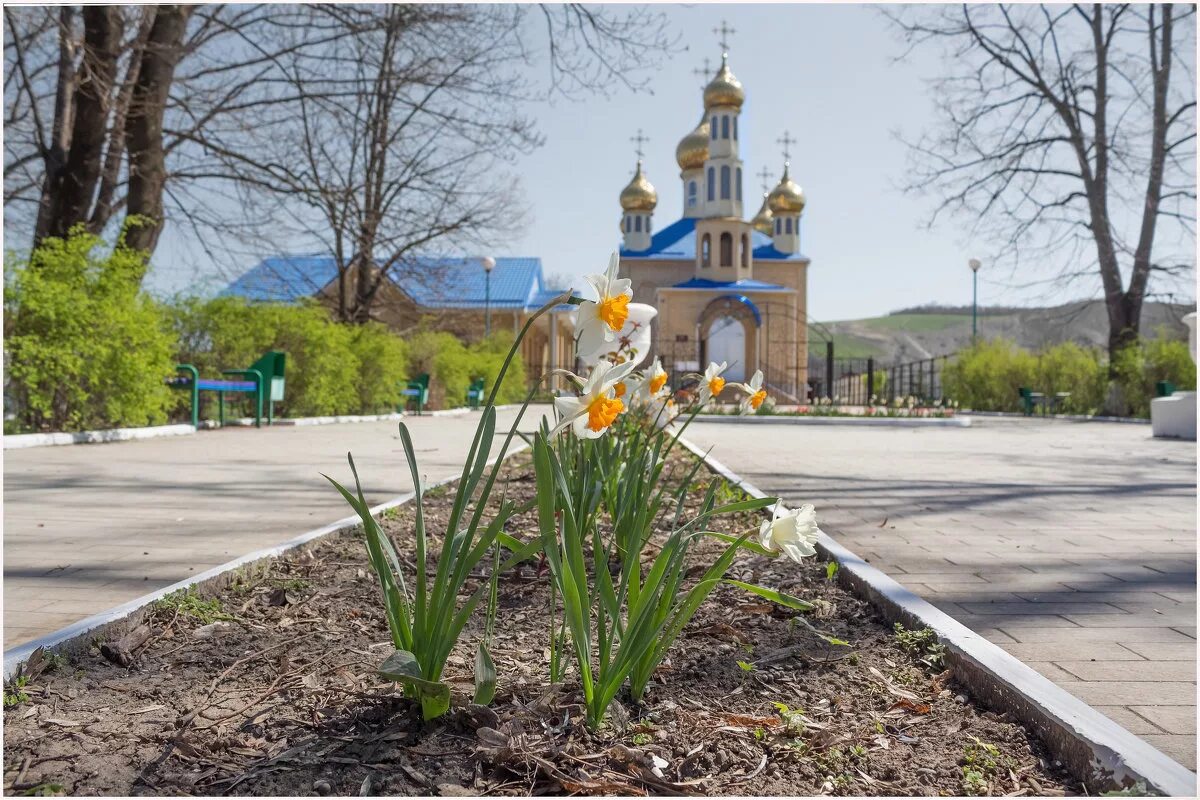 Станица удобная Краснодарский край. Краснодар весной. Погода станица удобная краснодарский край