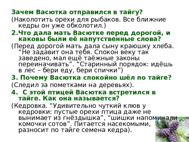 Почему васютка герой. Зачем Васютка отправился в тайгу. Зачем Васютку отправили в тайгу. Васютка отправляется в лес. Зачем Васютка отправился в лес.