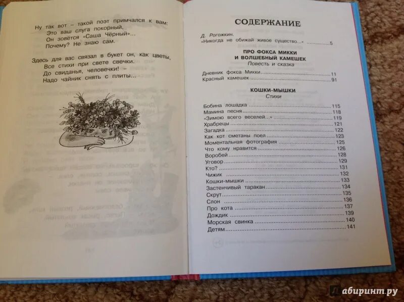 Сколько страниц в книге саша. Саша черный детский остров оглавление. Саша чёрный дневник Фокса Микки содержание книги. Книга Саши черного детский остров оглавление. Саша черный оглавление.