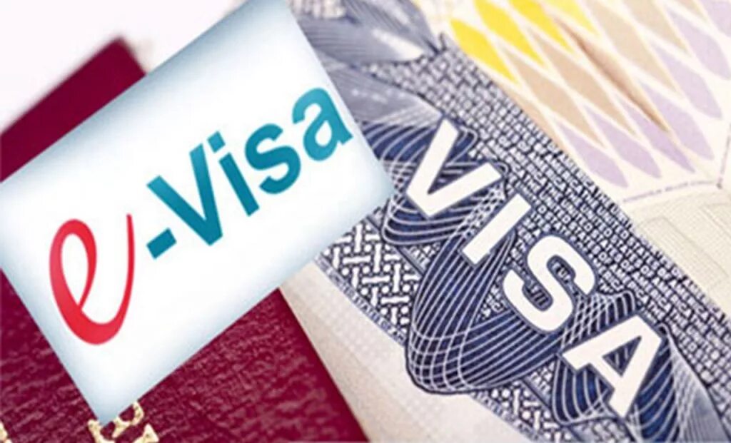 Visa kdmid. Tourist visa. Электронная тур виза. Visa Travel. Визовая поддержка в гостинице.