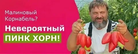 Лучшие томаты 2024 года отзывы форум