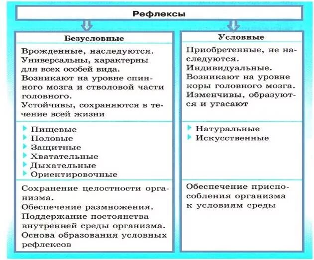 Безусловный рефлекс приобретается. Натуральные и искусственные условные рефлексы. Рефлексы условные приобретенные дуги временные и. Признаки характерные для условных рефлексов. Нервная система рефлекс инстинкт таблица.