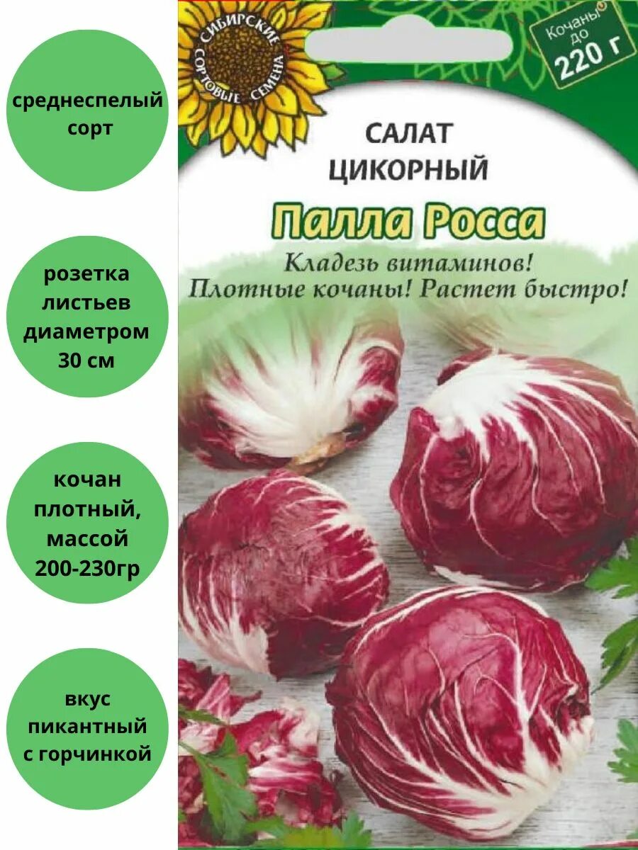 Пала росса. Салат цикорный пала Росса. Салат цикорный кочанный. Салат цикорий кочанный красный. Семена салат цикорный кочанный.