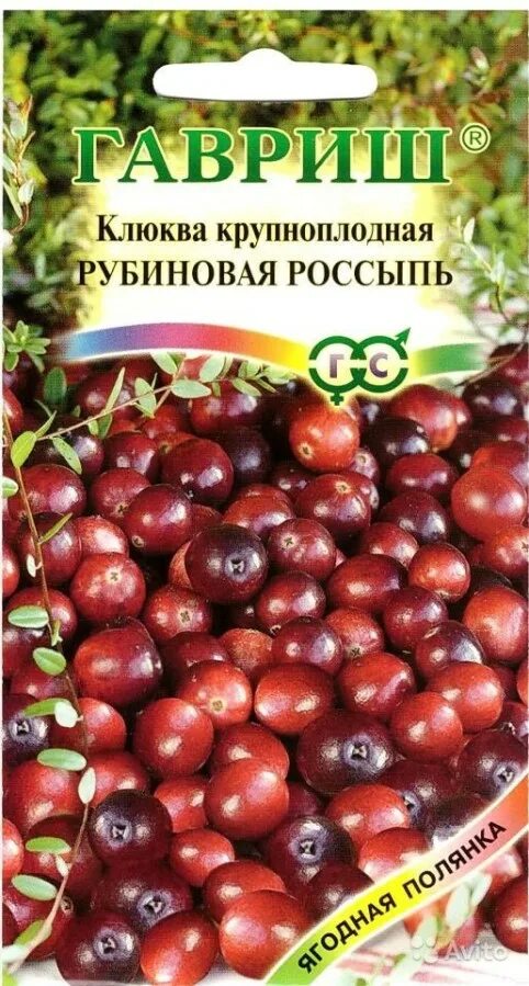 Ягоды семена овощей. Клюква крупноплодная Рубиновая россыпь. Клюква Рубиновая россыпь Гавриш семена. Клюква Рубиновая россыпь 30 шт. Гав.. Брусника Рубин 20шт Гавриш.