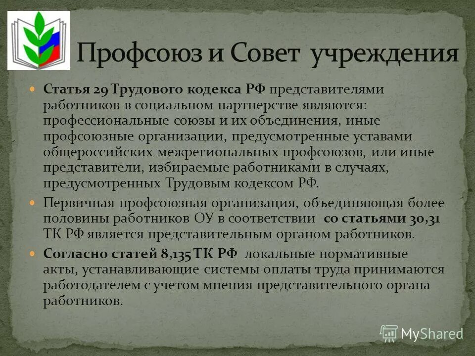 Структура первичной профсоюзной организации. Иные профсоюзные организации. Структура профсоюзной организации предприятия. Устав профсоюза первичной профсоюзной организации. Иные профсоюзные организации.