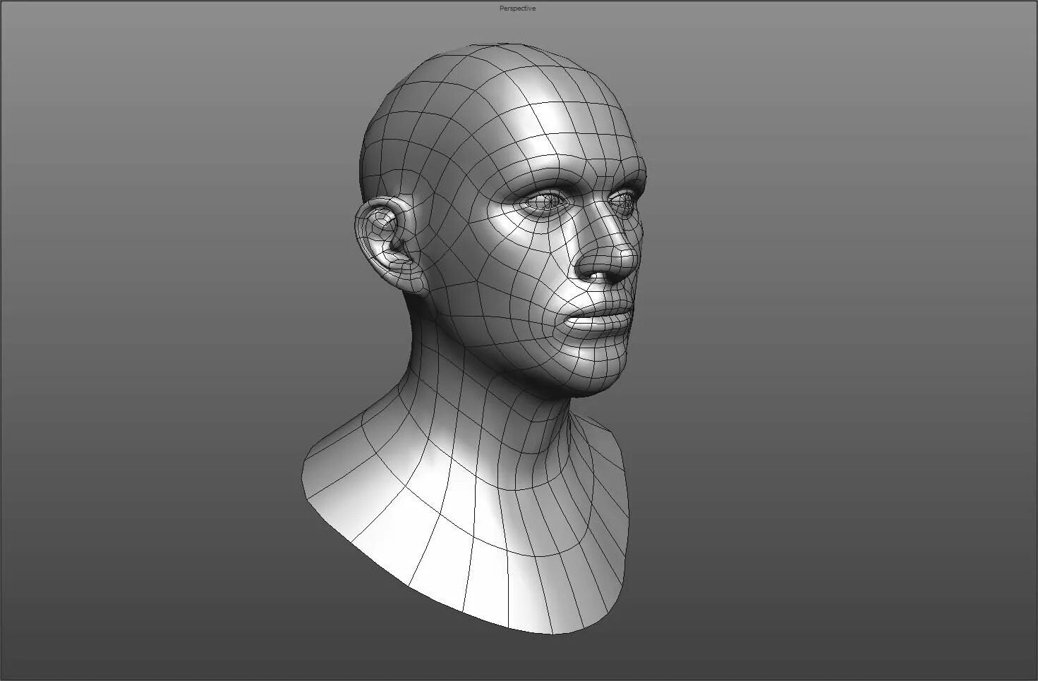 Planar head 3d модель. Моделинг 3ds Max. Голова человека для моделирования. 3д модели. Сайт 3 д моделей