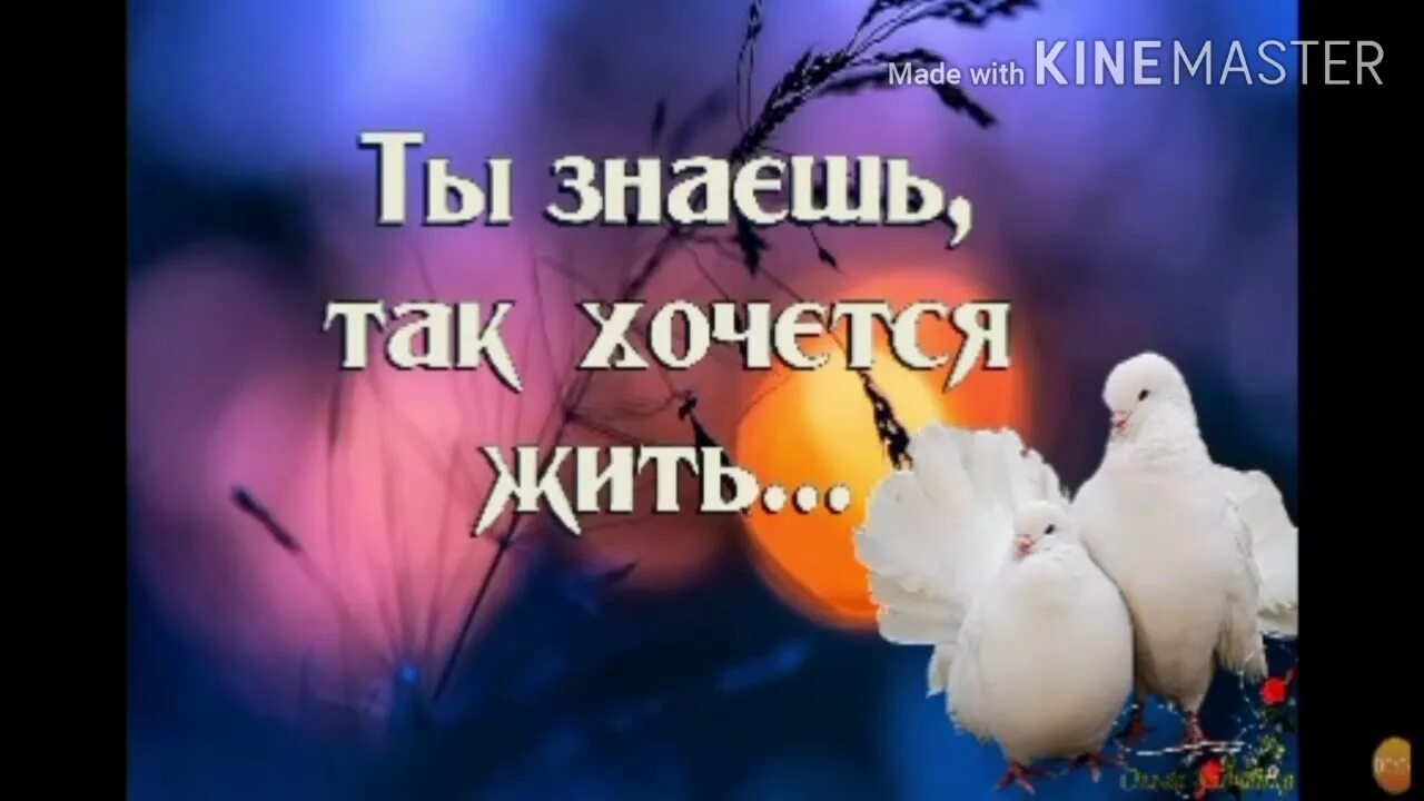 Так хочется жить. Знаешь т та к хочется жить. Ты знаешь так хочешь жить. Рождество хочется жить.