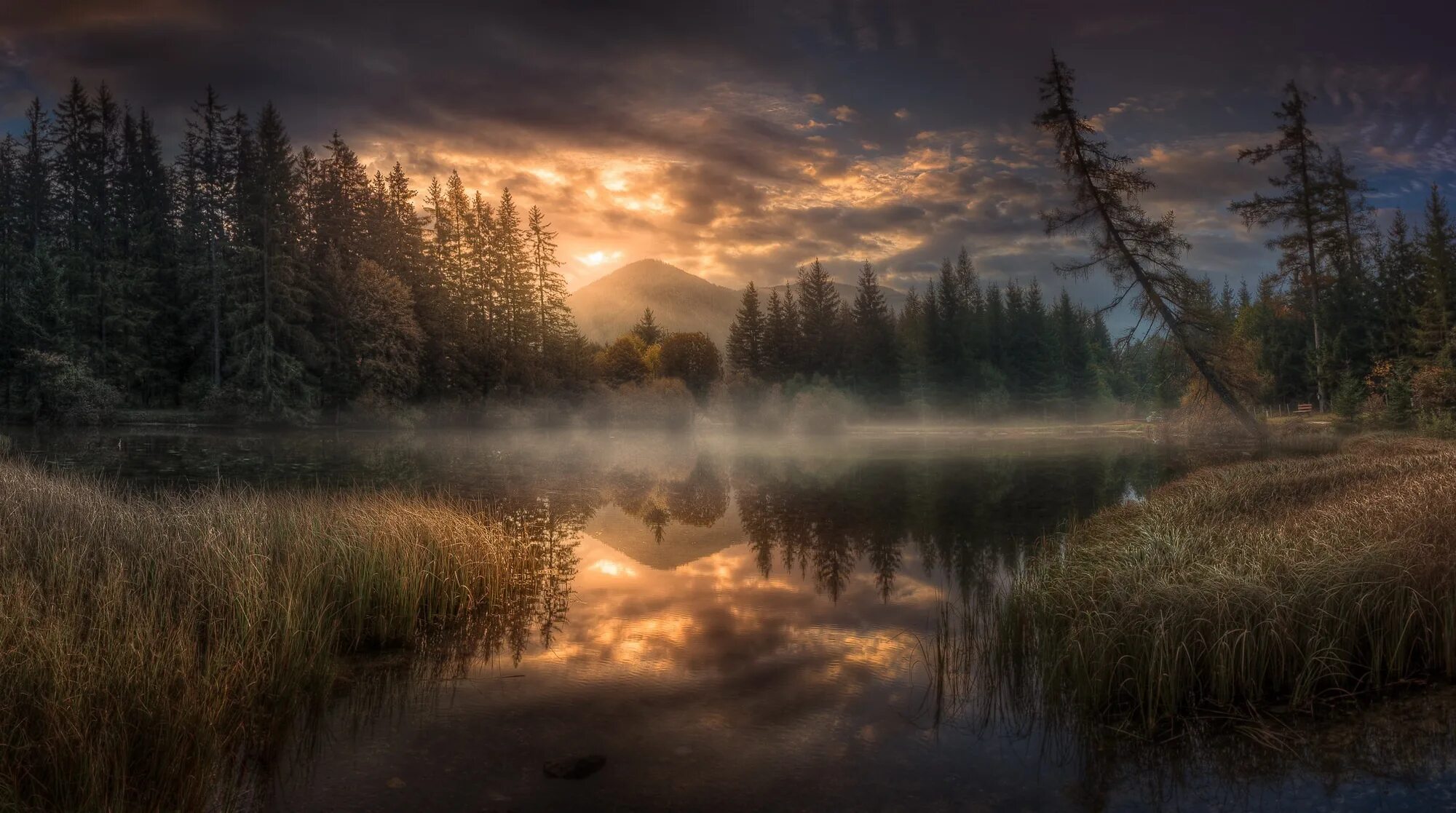 Волшебное озеро. В темном лесе вода. Темная река. В темном лесе вода. Мистический лес.