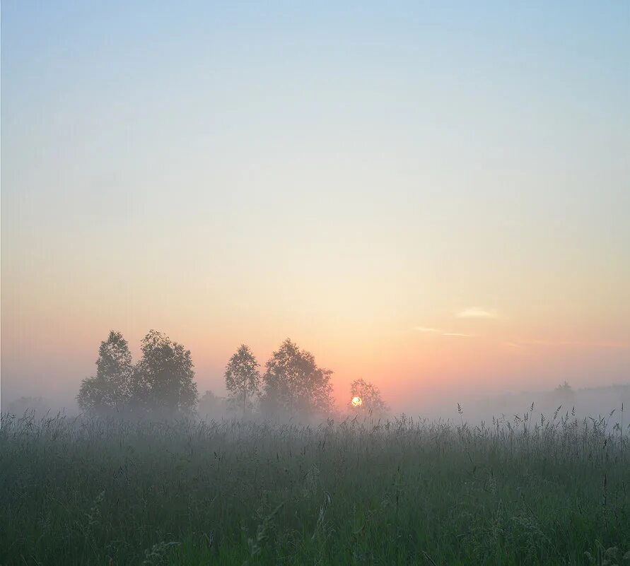 Туман 2023 отзывы. Летние туманы. Москва туман лето. Foggy Тула.