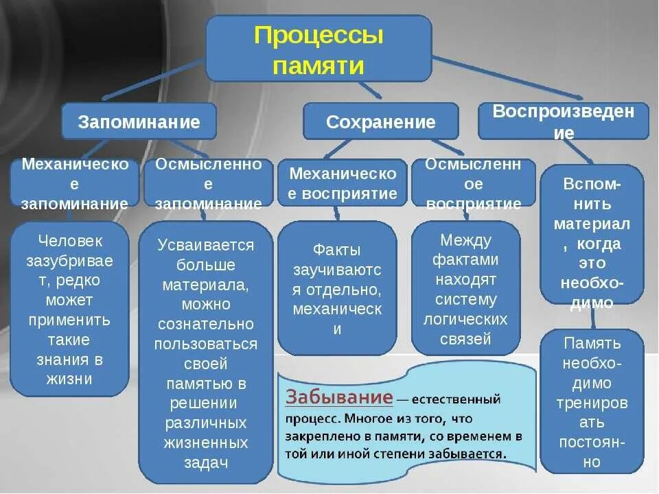 Память х. Перечислите основные процессы памяти. Характеристика процессов памяти. Процессы памяти в психологии. Основные процессы памяти в психологии.