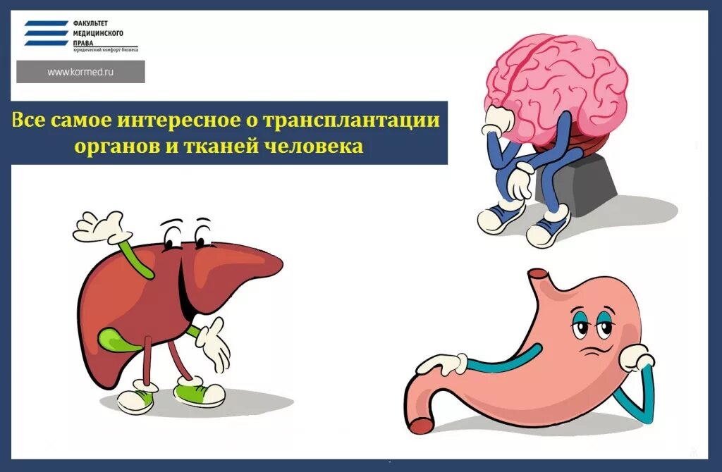 Использование органов или тканей потерпевшего. Трансплантация органов и тканей. Трансплантация органов человека. Трансплантация органов и тканей человека. Органы человека трансплантология.