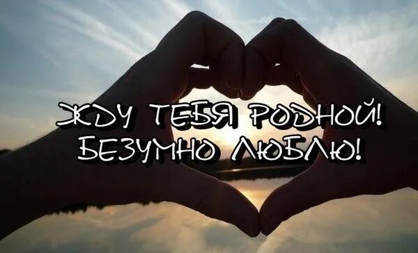 Жду я встречи с тобой родная. Люблю и жду. Жду тебя родной. Жду тебя любимый. Я жду тебя любимый.