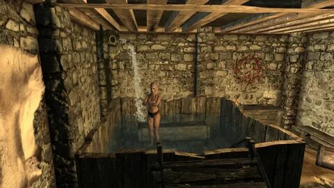Skyrim webcam