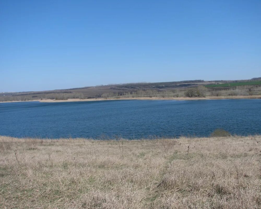 Пруды Казинка Ставропольский край. Казинка пруд Шпаковский район. Пруд в селе Казинка. Озеро Казинка Ставропольский край.