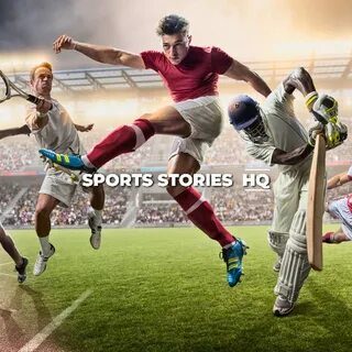 Sports stories
