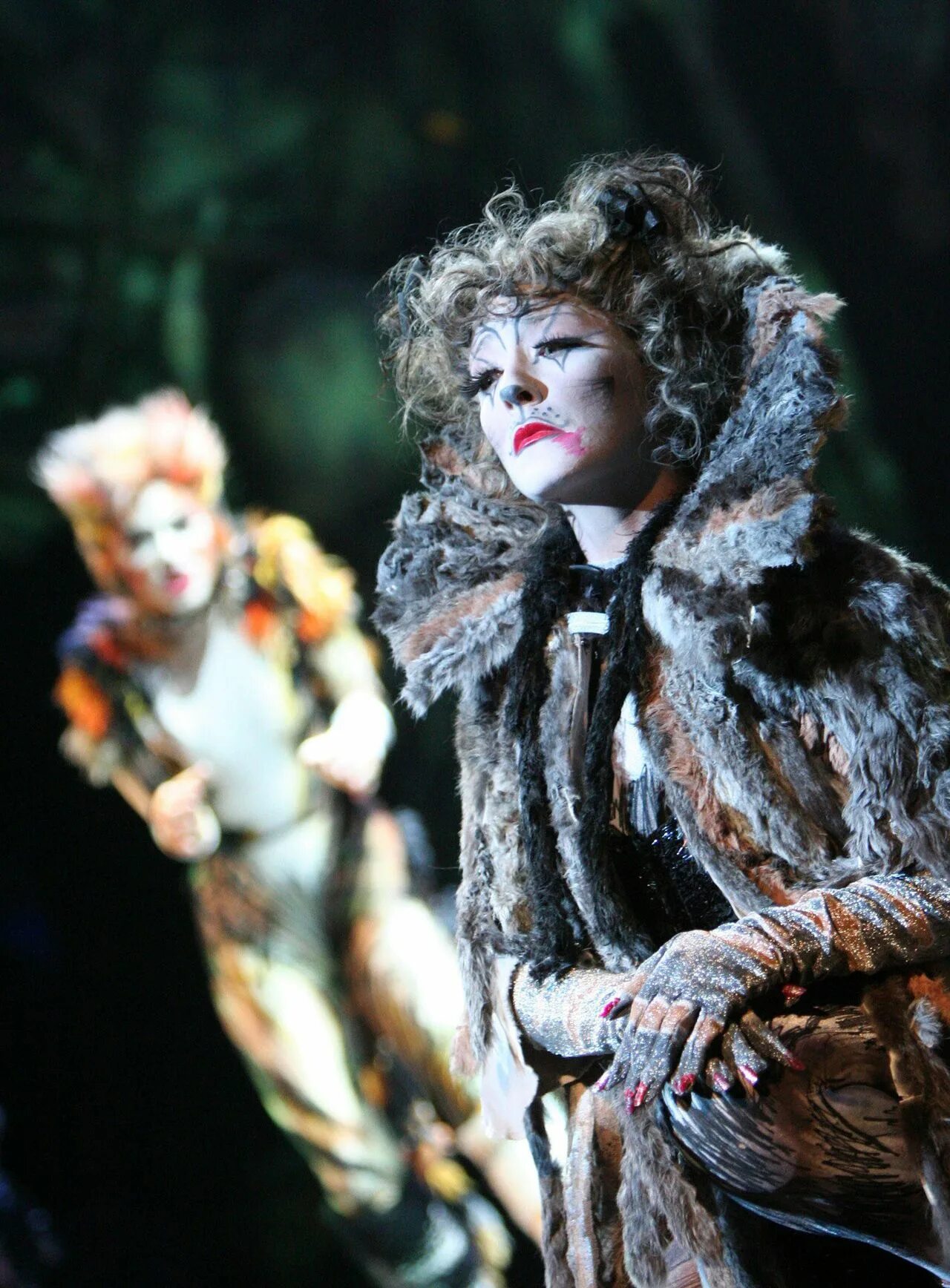 Ария гризабеллы. Grizabella. Мюзикл Cats Гризабелла. Бродвейский мюзикл кошки Гризабелла.