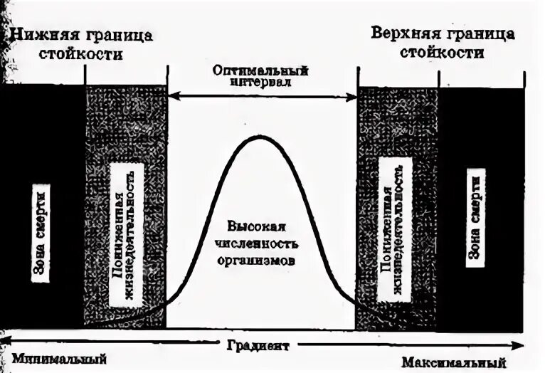 Биологическая стойкость. Общий закон биологической стойкости БЖД. Закон биологической стойкости сформулировал.