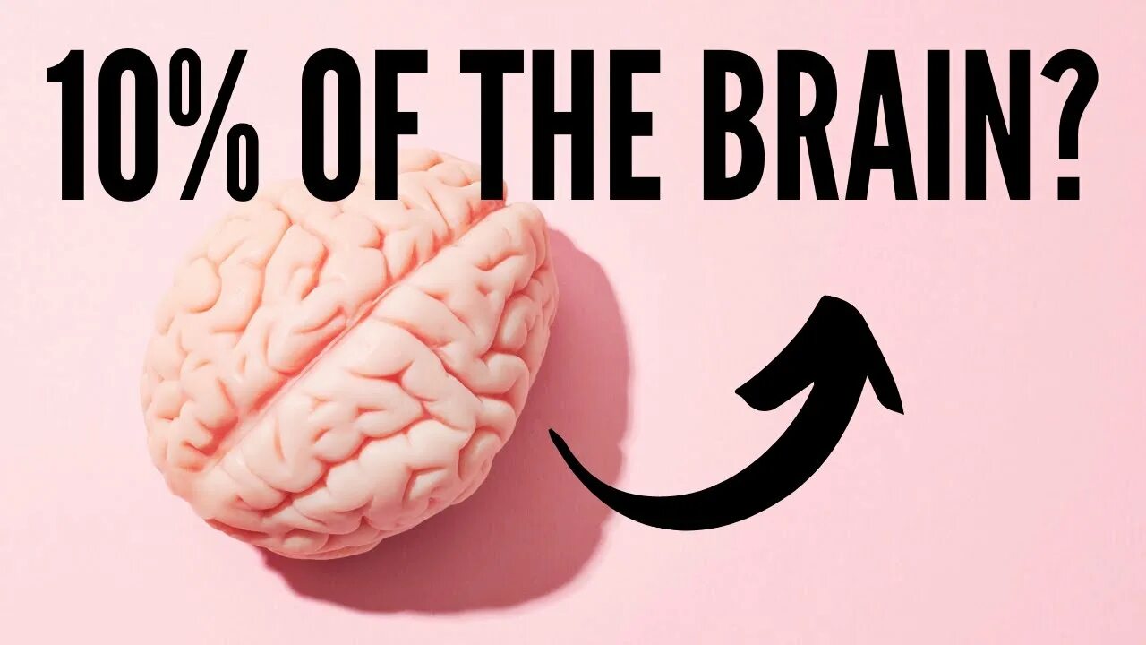 Me and my brain. Use Brain. Brain percent. "The Brain: a Biography" book.