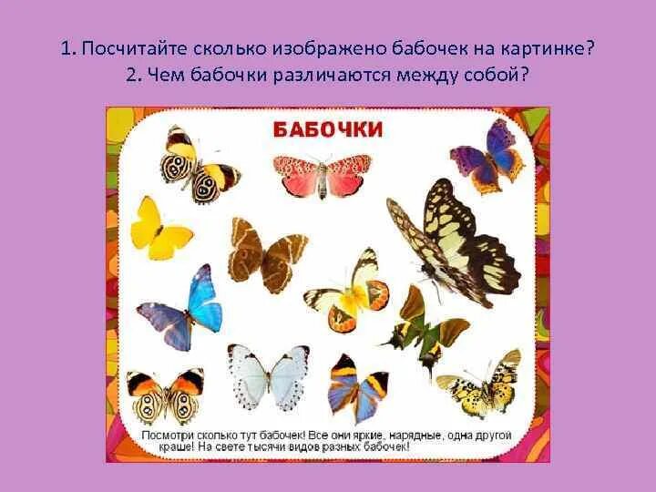 Различия бабочек. Бабочки для дошкольников. Найди отличия бабочки. Сходство и различие бабочек.