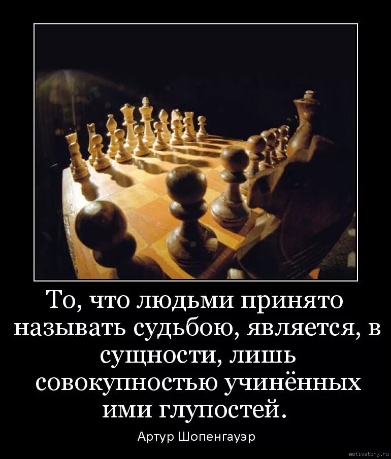 Что является глупостью