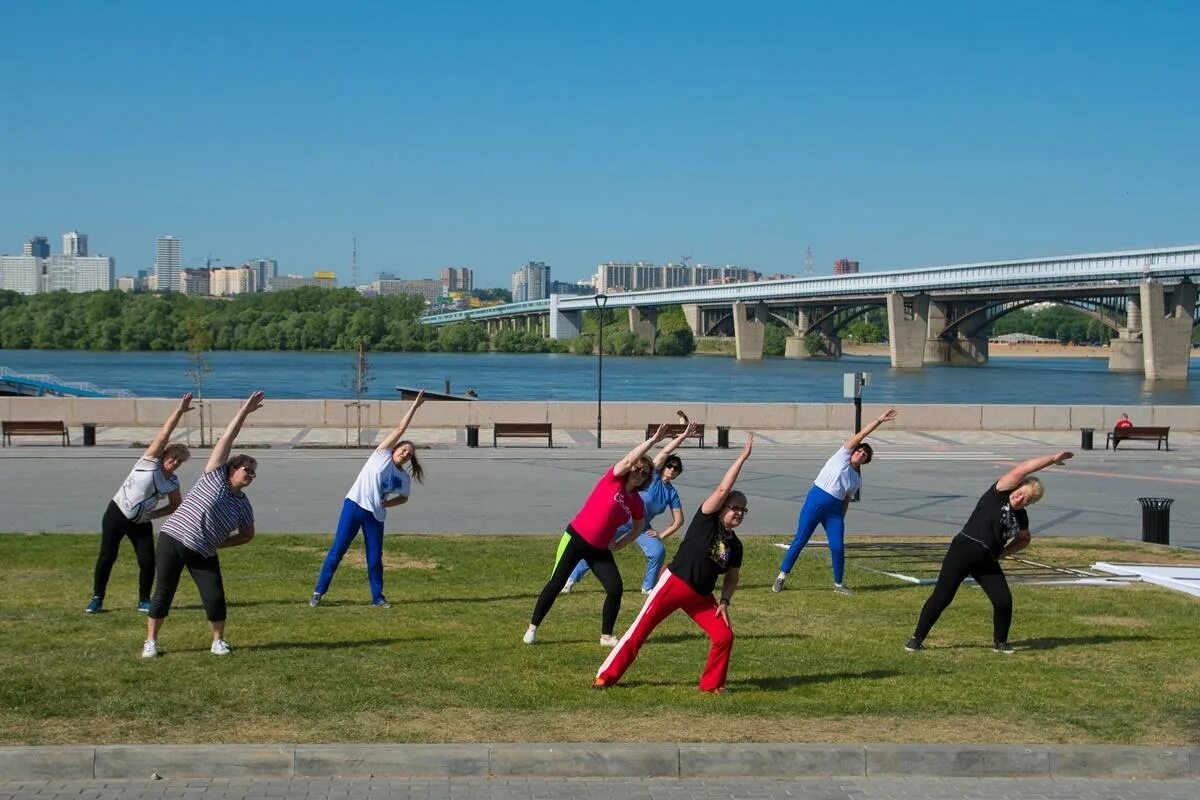 ледовый дворец череповец арена.