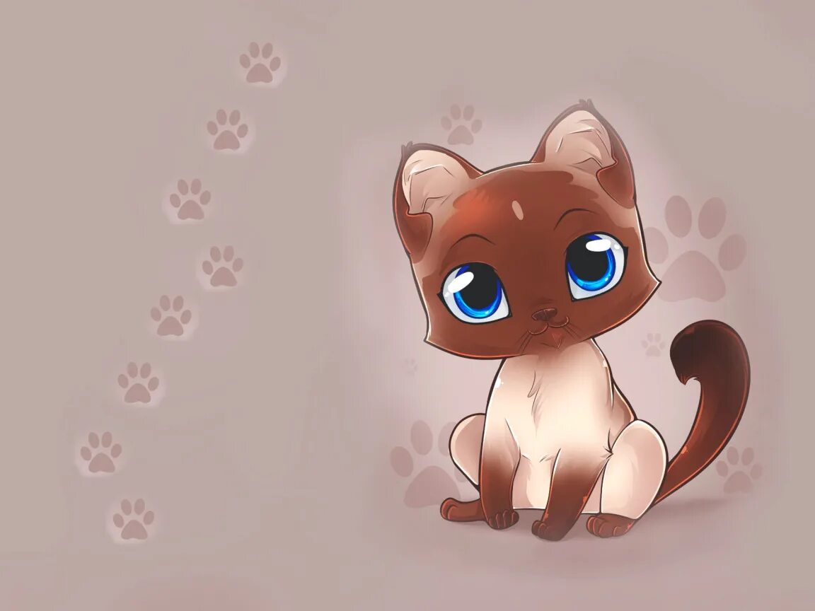 Котята аниме. Скат мультяшный. Красивая кошка арт. Рихардс донскис. Котенок арт.