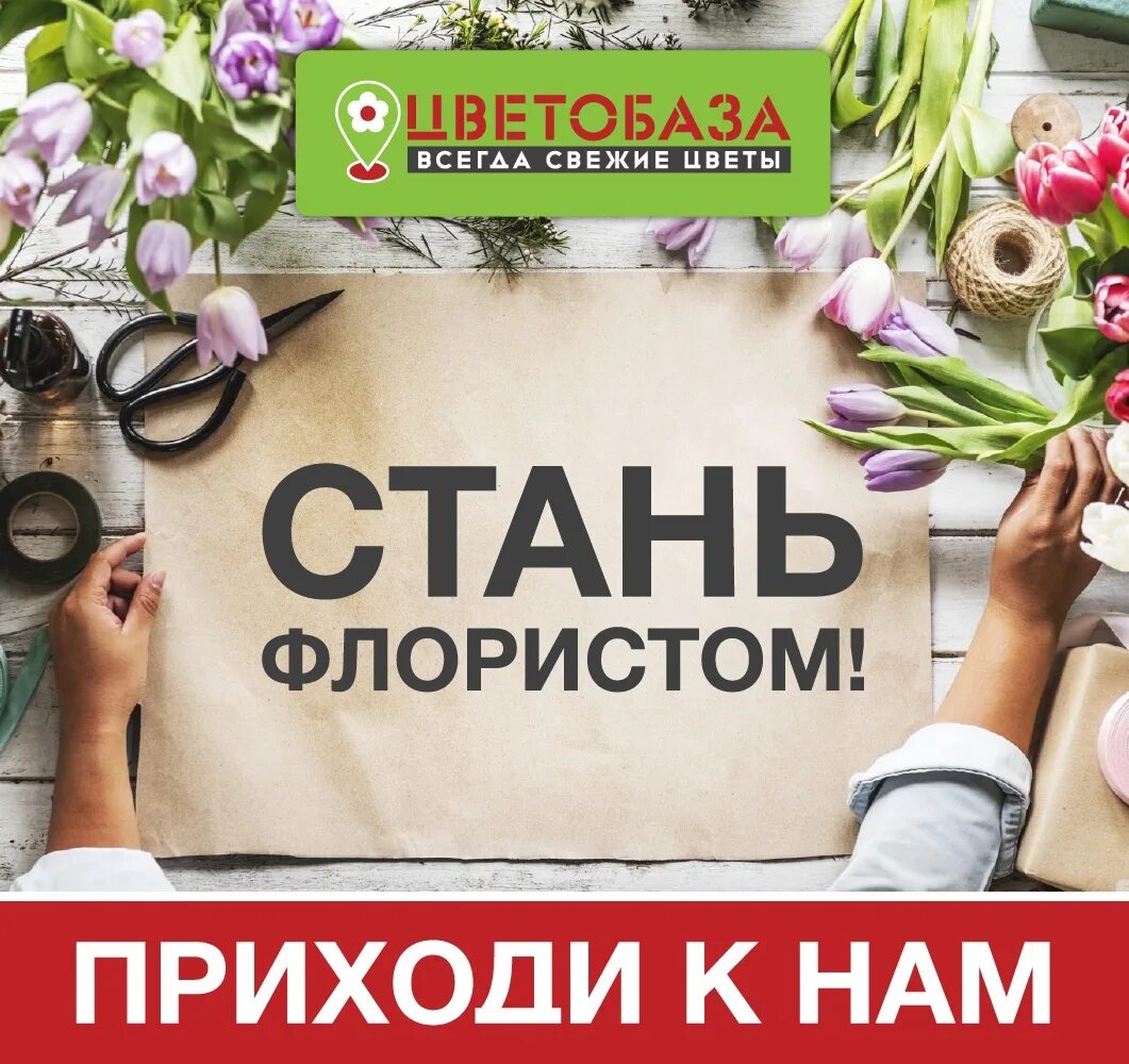 Требуется продавец флорист. Требуется продавец в цветочный магазин. Ищем флориста объявление. Ищем флориста