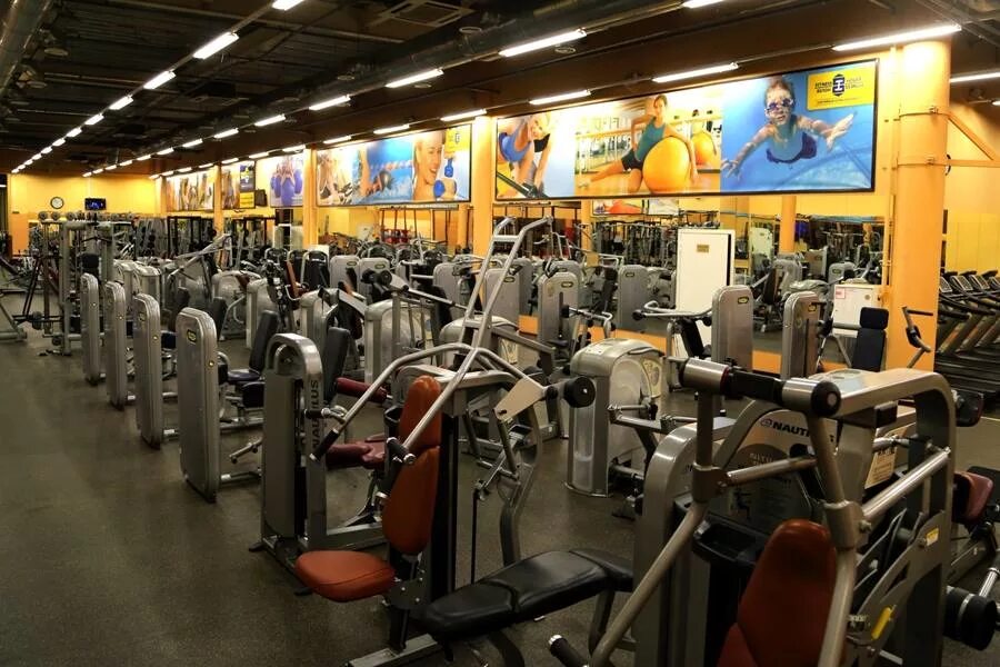 Фитнес хаус культуры 41. Fitness house спб. Проспект культуры фитнес хаус. Фитнес хаус северный проспект. Fitness house культуры.