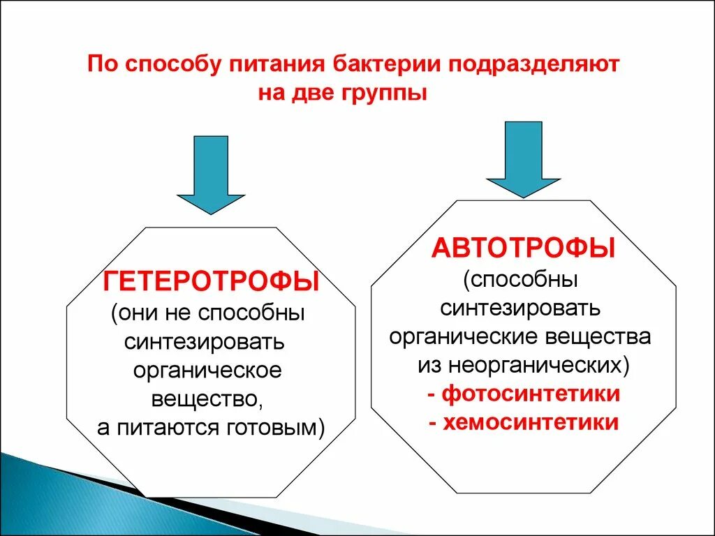 Какие различают бактерии по способу питания кратко. По способу питания бактерии делят на. Способы питания бактерий. Способы питания микроорганизмов. Эубактерии по способу питания.