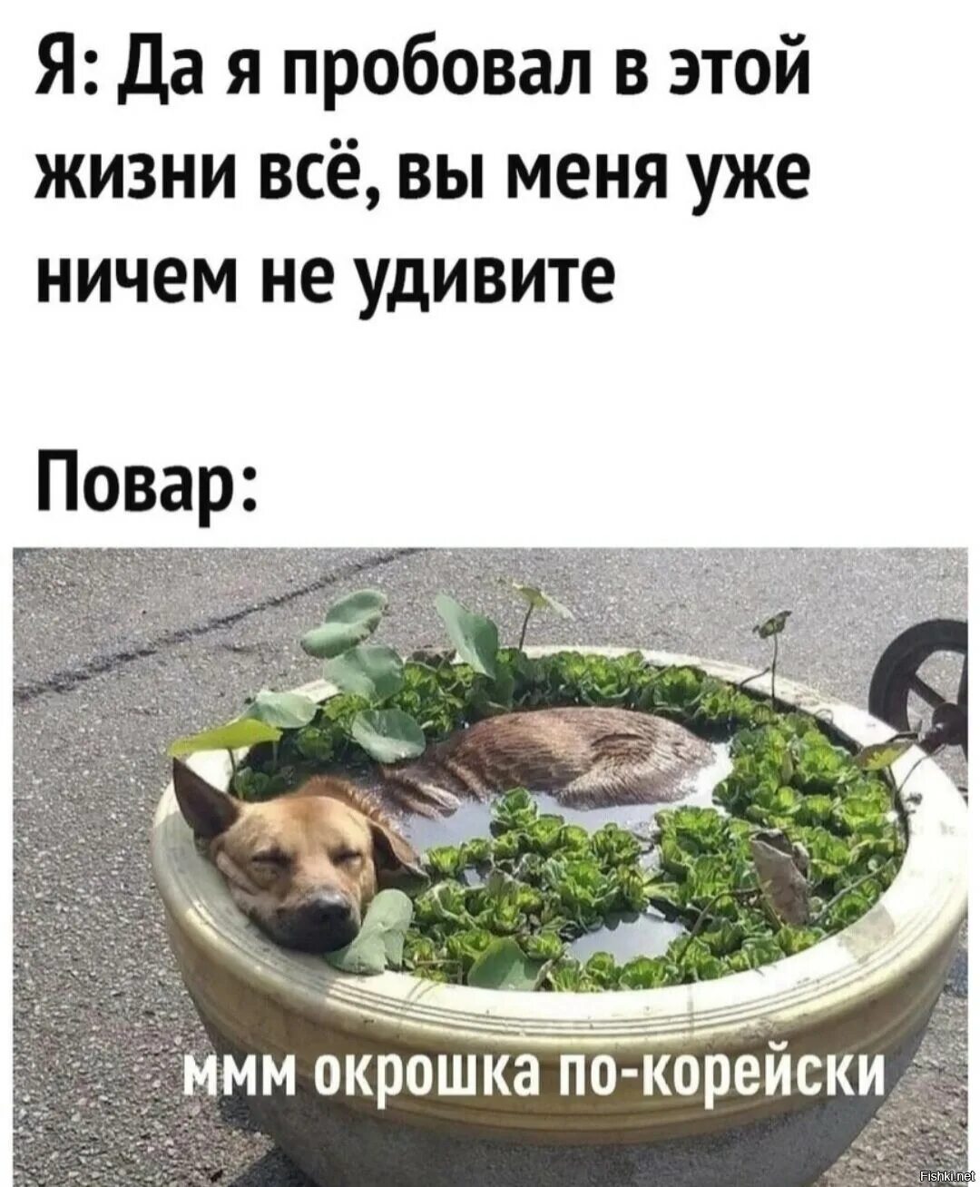 меня трудно удивить внешностью крутым телефоном. тяжело удивить. тяжело удивить. цитаты обманутой женщины. тем кому трудно не мучайте себя.