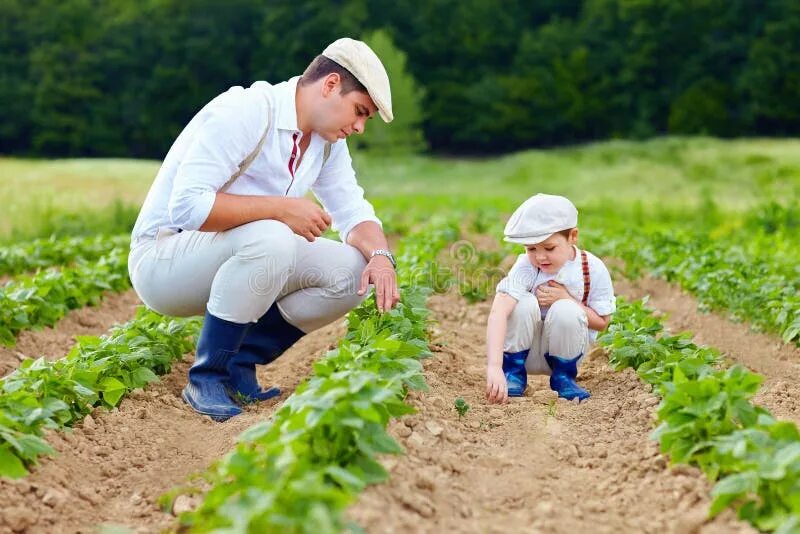 Farmer and Gardener. Farmers father. Father and son planting seedlings. Father and child in the countryside.