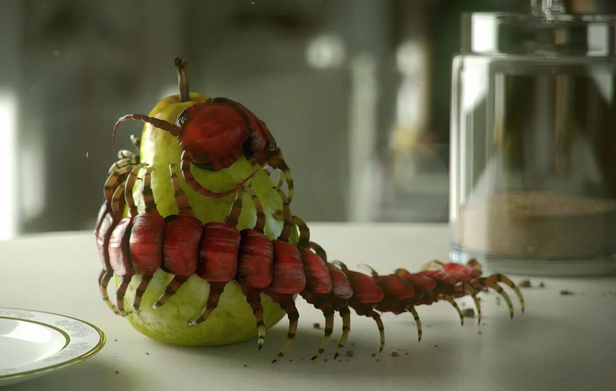 мадагаскарская сколопендра. многоножка сколопендра. что едят сороконожки. что едят сороконожки. кивсяк огородный черный.