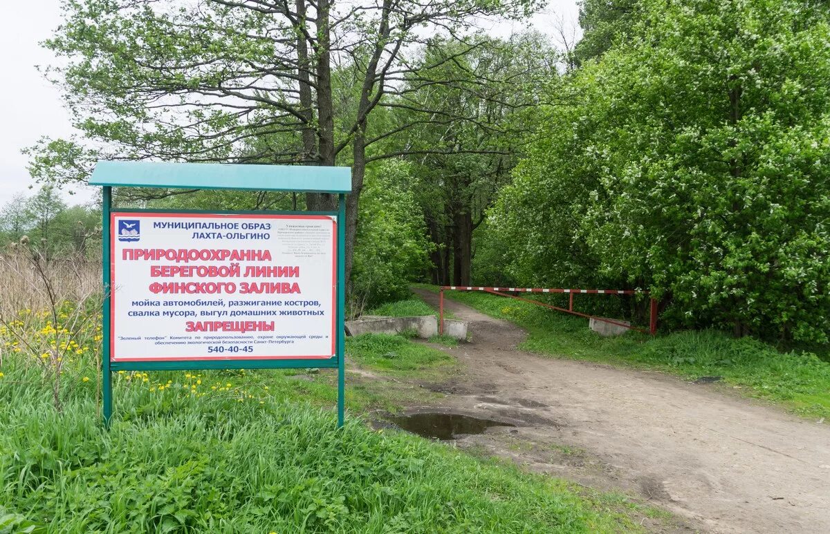 Финляндский ольгино. Мо мо лахта-ольгино. лахта ольгино берег залива. муниципальный округ лахта-ольгино. петровский пруд спб. конная лахта.