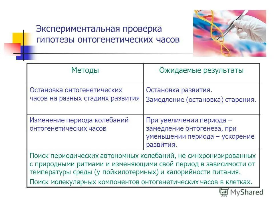 Экспериментальные задачи. Экспериментальная проверка полученных данных. Виды экспериментального контроля. Методика обработки результатов эксперимента. Практическая работа выполнение экспериментальных заданий.