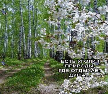 Первый понедельник весны картинки с надписями