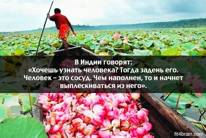 Человек наполненный важностью. Хочешь узнать человека задень его. человек это сосуд чем наполнен. чем человек наполнен то. кто чем наполнен.