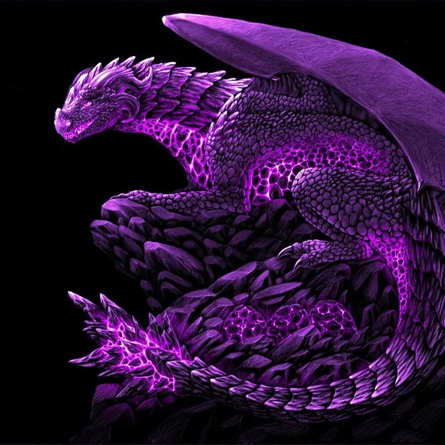 Дракон фиолетовый. Лиловый дракон. Волшебные драконы. Дракон на фиолетовом фоне. Драконы бро
