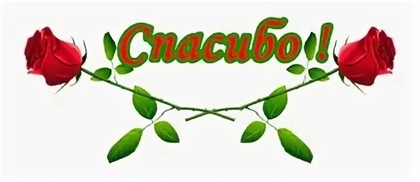 Спасибо за ничего. Спасибо за ничего