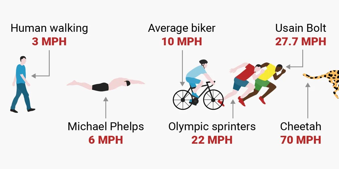 Speed Comparison forward propagation. Мем топ болт. Top-Speed Team.