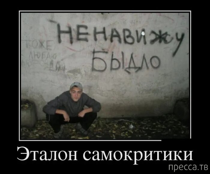 Определение слова быдло
