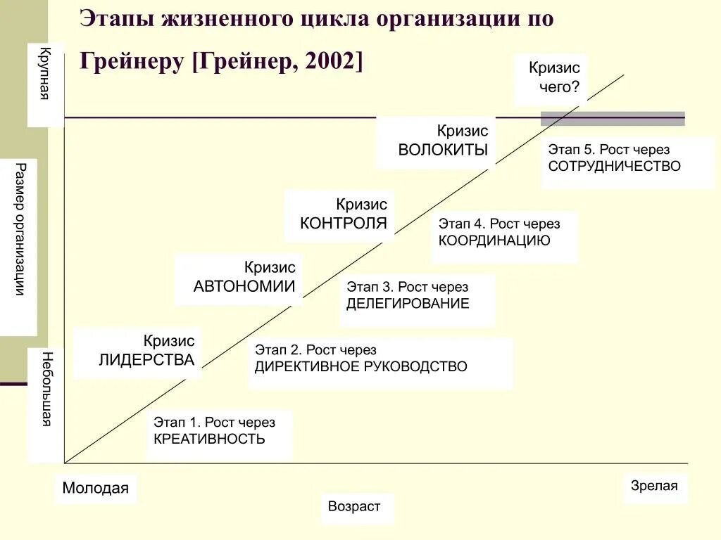 Жизненные стадии компании