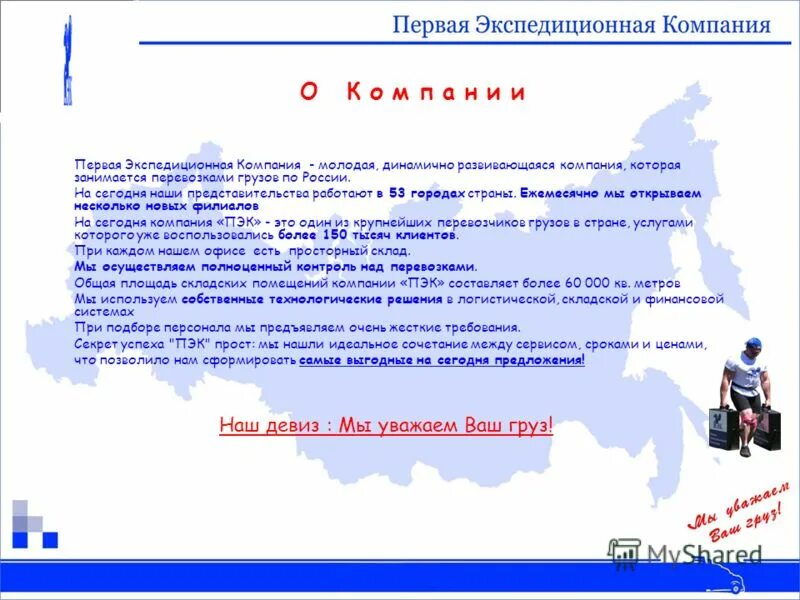 молодая динамично развивающаяся компания