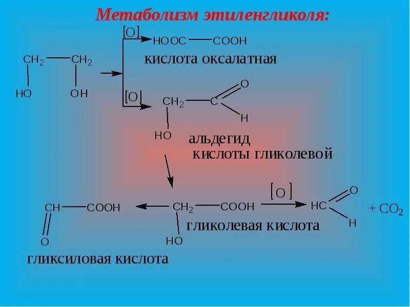 Метаболизм этиленгликоля. Биотрансформация этиленгликоля. Метаболиты этиленгликоля. Альдегид и этиленгликоль.