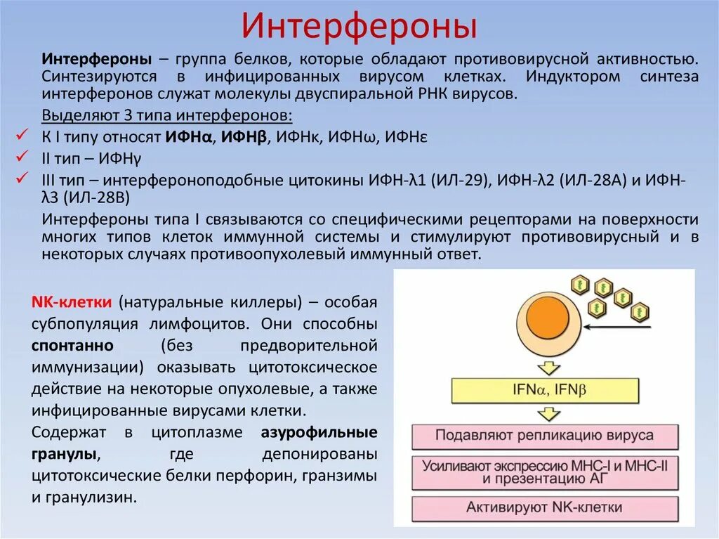 Интерфероны иммунология. Интерферона 2 функция. Противовирусные типы интерферонов. Интерфероны роль в иммунитете. Первая группа белков