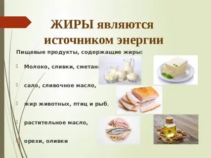 Источники скрытых жиров тест основы здорового
