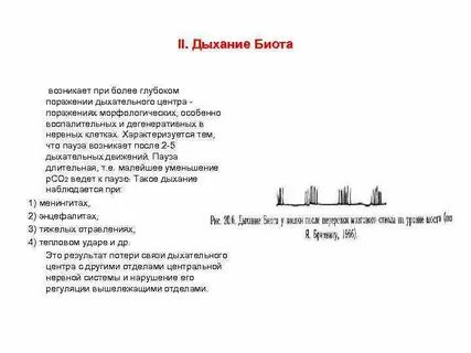 Дыхание биота