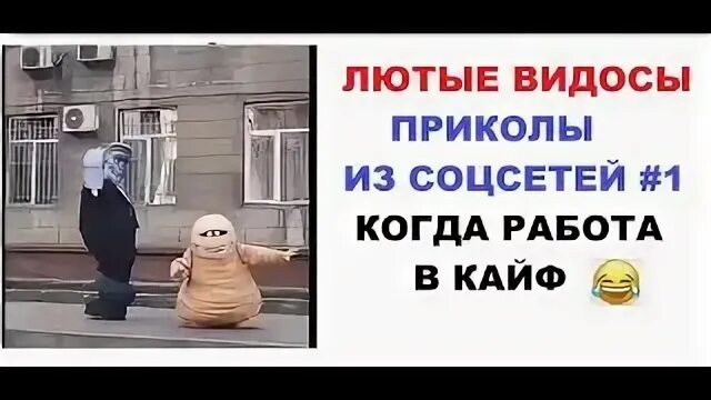 Лютая работа. Когда работа в кайф. работа в кайф прикол. работа в кайф картинки. прикольное видео работа в кайф.